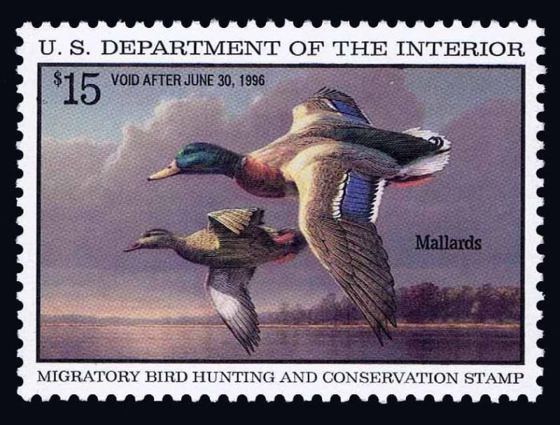 RW62  MINT FEDERAL DUCK STAMP - MOGNH - VF/XF - $40.00 (ESP#7519)