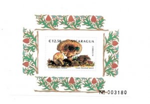 Nicaragua 1999 - Mushroom  - Souvenir Stamp Sheet  - Scott #2291 - MNH