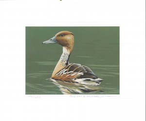 RW53 1986 FEDERAL DUCK STAMP PRINT FULVOUS DUCK MEDALLION ED by B. Moore