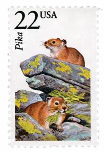 1987 22c Pika, North American Wildlife Scott 2319 Mint F/VF NH 