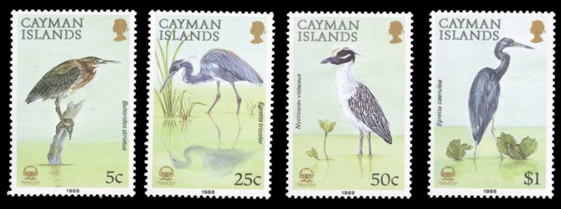 Cayman Islands #594-597 Cat$18.40, 1988 Birds, set of four, never hinged