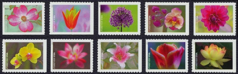 #5558-5567 Garden Beauty, Singles, Mint **ANY 5=FREE SHIPPING**