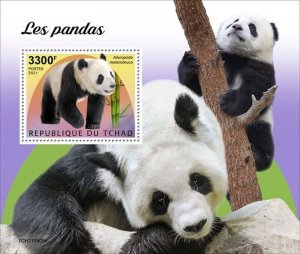 Chad - 2021 Giant Pandas on Stamps - Stamp Souvenir Sheet - TCH210405b