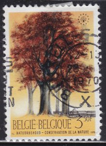 Belgium 737 European Nature Conservation 1970