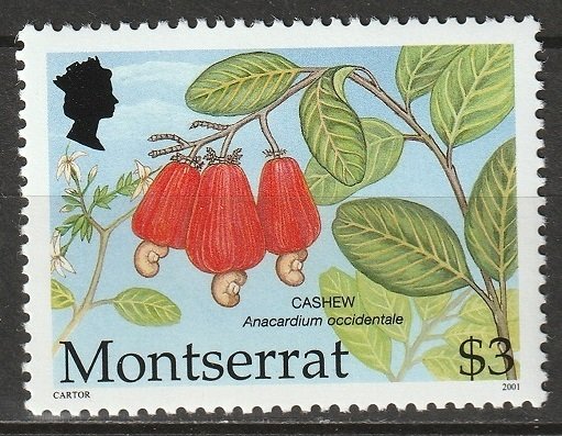 Montserrat 2001 Sc 1053 MNH**