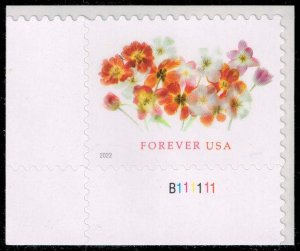 US #5681 Tulips P# Single; MNH