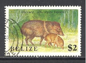 Belize 915 used SCV $ 7.00 (DT)