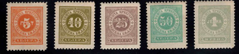 Montenegro Scott J9-J13 MH* complete 1902 Postage Due set