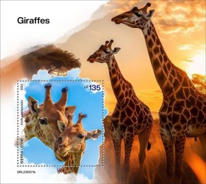 SIERRA LEONE - 2023 - Giraffes - Perf Souv Sheet - Mint Never Hinged