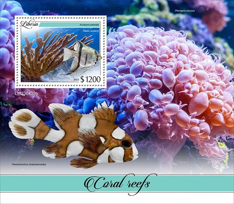 LIBERIA- 2023 - Coral Reefs - Perf Souv Sheet - Mint Never Hinged