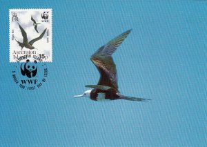 Ascension 1990 Maxicard Sc #486 15p Frigate Birds Female, young in flight WWF