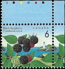 CANADA   #1353  MNH (1)