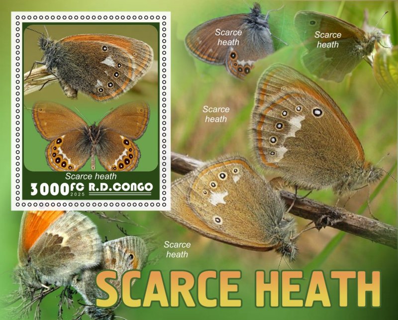 Stamps.Fauna, Butterflies  2025 year 8 sheets perforated