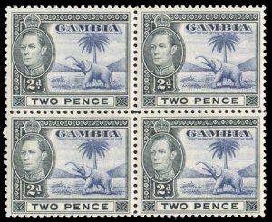 Gambia #135 Cat$64, 1938 2p gray black and ultramarine, block of four, never ...