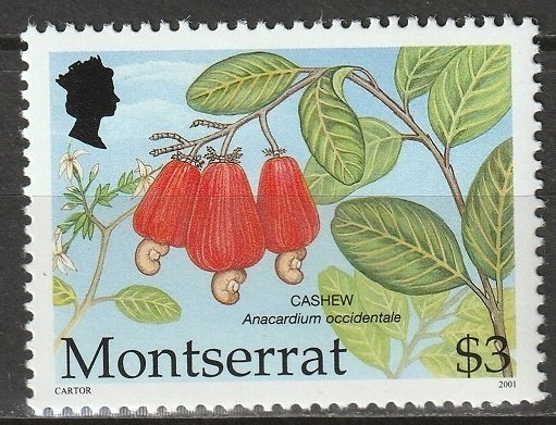 Montserrat 2001 Sc 1053 MNH**