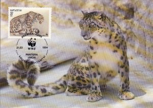 Kyrgyzstan 1994 Maxicard Sc #31 30t Snow leopard WWF