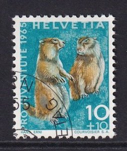 Switzerland  #B351  cancelled  1965  Pro Juventute  10c  alpine marmots