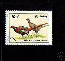 POLAND - 1986 - WILDLIFE 