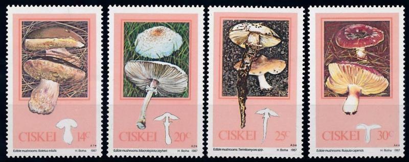 [68882] Ciskei 1987 Mushrooms Pilze Champignons  MNH