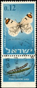 ISRAEL Sc 307 VF/USED WITH TAB - 1965 12a Zegris Eupheme Uarda - Sound