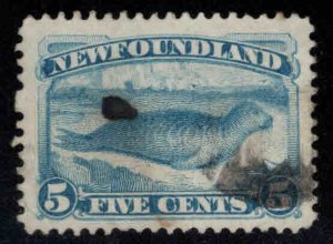 NEWFOUNDLAND Scott 55 Used Bright Blue Harp Seal stamp