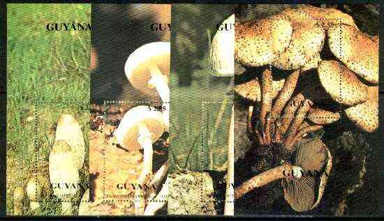 Guyana 1990 Mushrooms set of 4 individual souvenir sheets...