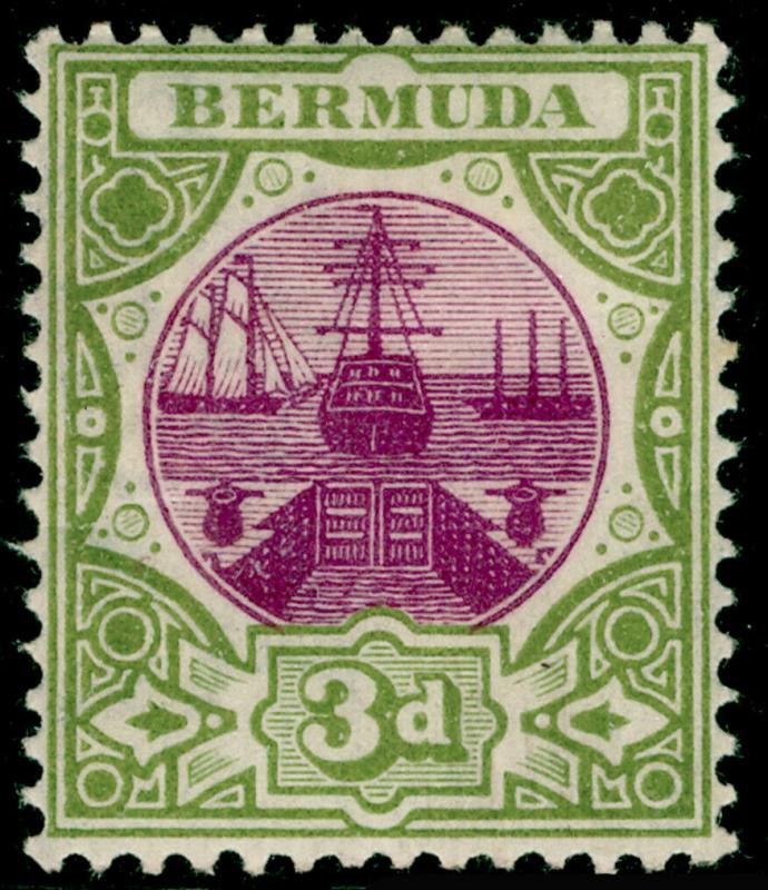 BERMUDA SG33, Dry Dock 3d magenta & sage-green, M MINT.