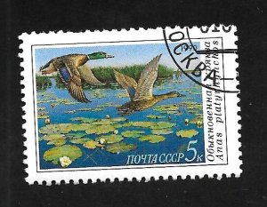 Russia - Soviet Union 1990 - CTO - Scott #5906