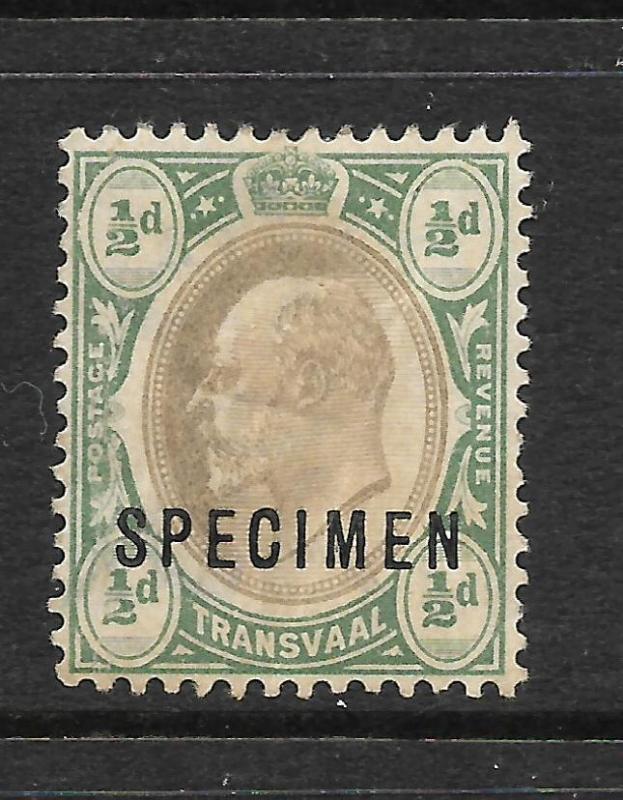 TRANSVAAL  1902  1/2d   KEVII   SPECIMEN    MH   SG 244s