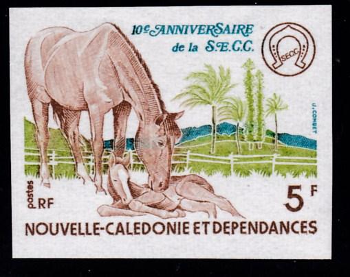 France New Caladonia 1977 Mare & Foal IMPERF  XF/NH(**)