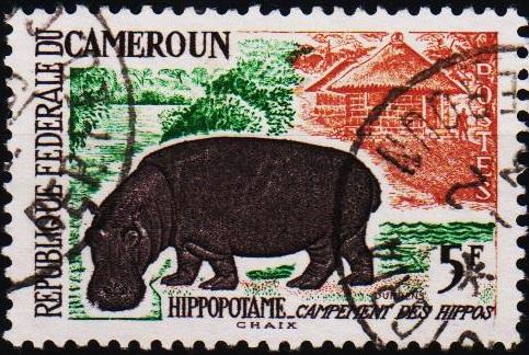 Cameroun. 1962 5f. S.G.315 Fine Used