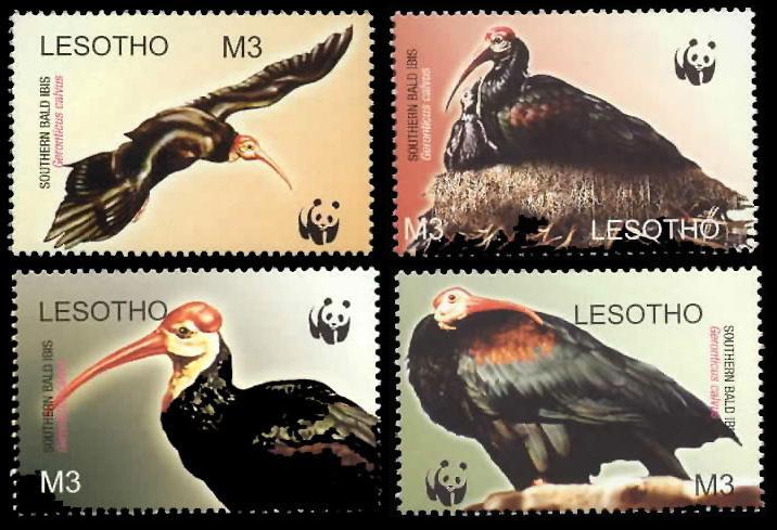 Lesotho WWF Southern Bald Ibis Birds 4v SG#1934-1937 SC#1336 a-d MI#1895-1898