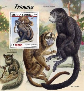 Sierra Leone - 2022 Primates, Monkey - Stamp Souvenir Sheet - SRL220208b