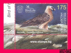 KYRGYZSTAN 2021 Nature Fauna Predatory Bird Raptor Bearded Vulture Hawk 1v MNH