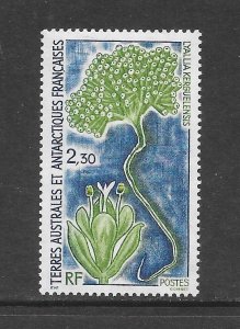FRENCH SOUTHERN ANTARCTIC TERRITORY #185 PLANT  MNH