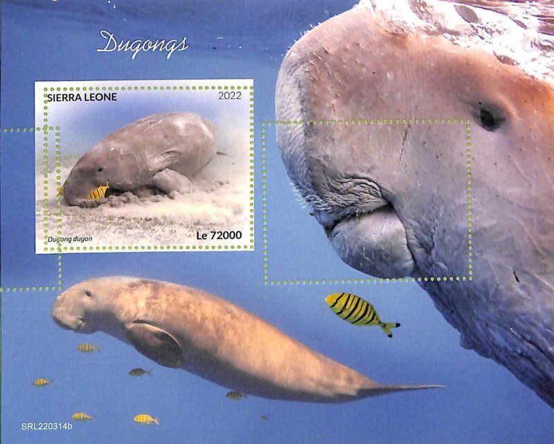 A9352 - LION SAW - MISPERF ERROR Stamp Sheet - 2022 - Dugogs, Marine Life-