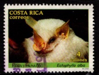 Costa Rica  - #379 Bat - Used