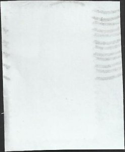 # 5705 Used Mariachi