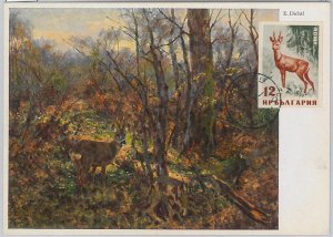 52167 - BULGARIA - MAXIMUM CARD - ANIMALS \ HUNTING - IMPERF STAMP!-