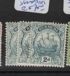 Bermuda SG 80 X Three Shades MOG (10dsl)