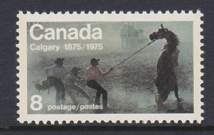 667 1975 Calgary Centennial MNH