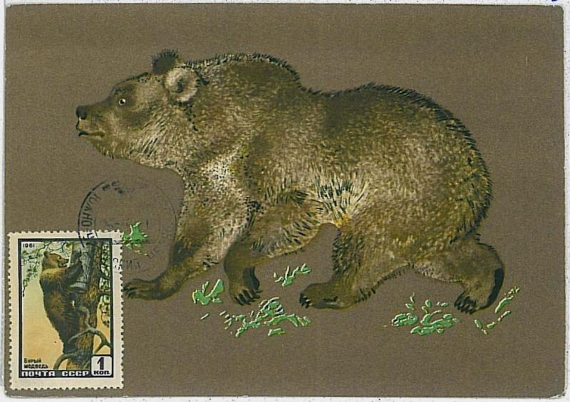 32184 MAXIMUM CARD - POSTAL HISTORY - Russia USSR:   Wild Animals, Hunting, 1961