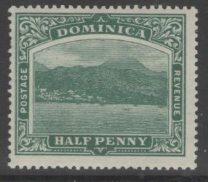 DOMINICA SG37 1907 ½d GREEN MTD MINT