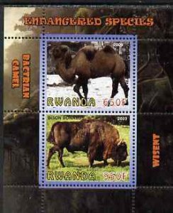 RWANDA - 2009 - Wisent & Camel - Perf 2v Sheet - MNH - Private Issue