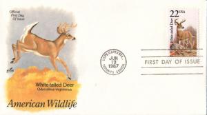 #2317 White-tailed Deer Artcraft FDC