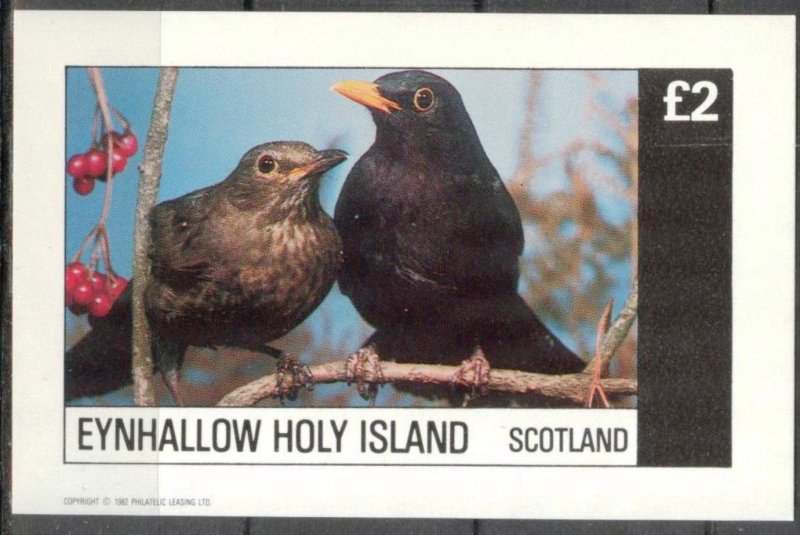 {E102} Eynhallow Scotland Birds (5) S/S 2£ MNH Cinderella !!