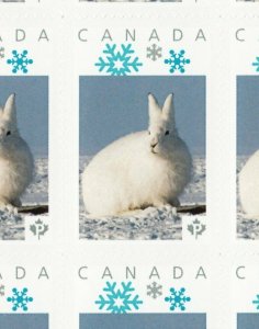 BUNNY - WINTER = Picture Postage Sheet 25+1 with ENLARGEMENT Canada 2014 MNH p72