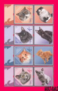 TRANSNISTRIA 2024 Nature Fauna Farm Domestic Animals Pets Cats 4v+4 labels MNH