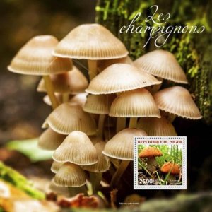 Niger 2014 Mushrooms of the World  Stamp Souvenir Sheet 14A-511