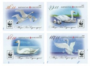 Kyrgyzstan 2015 WWF Whooper swan Set of 4 rare imperforates stamps MNH